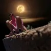 Lorena Shaw - @lorenashaw168 - TikTok
