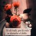 Lorena Veloz - Facebook
