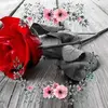 Lorena Vigil - @lorenavigil3 - TikTok