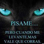 Lorena Vivanco - Facebook