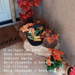 Lorena Wilson - @lorenrwilsonhotma - Instagram
