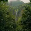 loreneadams1 - @loreneadams1 - TikTok