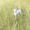 Lorena Barnes - @lorena.barnes - TikTok