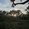 Loren Becker - @landscapesbyloren - TikTok