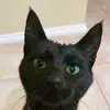 Loren Kennedy - @lorenbender - TikTok