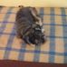 Lorene Bender - Facebook
