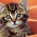 Lorene Dickerson - Facebook