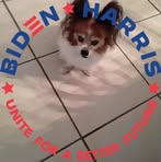 Lorene Griffin - Facebook