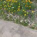 Lorene Howe - Facebook