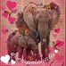 Lorene Kay Twobulls - Facebook