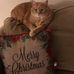 Lorene Knight - Facebook