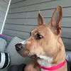 Loren.Lynn12 - @lorenlynn1212 - TikTok