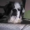 tonnielorenemelton - @tonnielorenemelton - TikTok