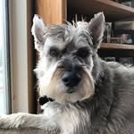 Lorene Roach - @roachlorene - Instagram