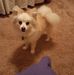 Lorene Scott - Facebook