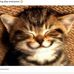 Lorene Scott - Facebook
