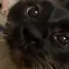 loren shaw - @loren.shaw61 - TikTok