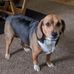 Lorene Singleton - Facebook