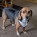 Lorene Singleton - Facebook