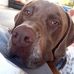 Lorene Smith - Facebook