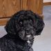 Lorene Smith - Facebook