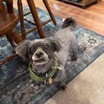 Lorene Roberts Ward - @spikiemom - Instagram
