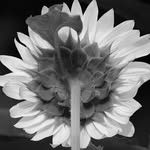 Lorene Ward - @imagingmagician - Instagram