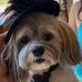 Lorene Wolf Wetzel - Facebook