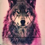 Loren Wolfe - @akashawolfe707 - Instagram
