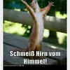 lorenz bauer - @lorenz2609 - TikTok