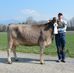 Lorenz-Der-Bauer - Facebook