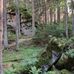 Lorenz Schmid - Facebook