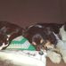 Lorenz Schmid - Facebook