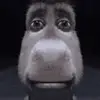 That one guy - @lorenzocooks7 - TikTok