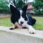 Lorenzo Nelson - @19nelson56 - Instagram