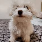 lorenzo Du santos palomo - @lorenzodusantos - Instagram