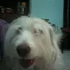 lorenzopalomo917 - @lorenzopalomo917 - TikTok