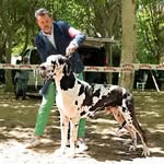 Miguel Angel Palomo Lorenzo - @miguelangelpalomolorenzo - Instagram