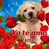 palomolorenzo - @palomolorenzo1 - TikTok