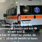 Lorenzo Patrick - @wijgaard_lori_1175 - Instagram