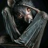 Lorenzo_500 - @lorenzo_rush - TikTok