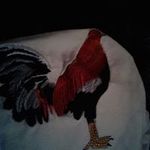 Lorenzo Salgado - @salgado4483 - Instagram