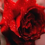 Loreta Valdez - Facebook
