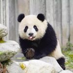李晓晖 - @adam_loretta - Instagram