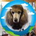 Loretta Adams - Facebook