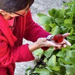 Loretta Barber - @barber0528 - Instagram