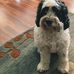 Loretta Barber - Facebook