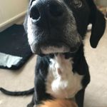 Loretta Barker - @lorettabarker9 - Instagram