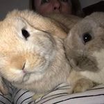 Loretta Barker - @loretta.barker.3 - Instagram