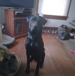 Loretta Belcher - Facebook